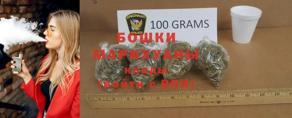крисы Березники