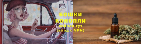 крисы Березники