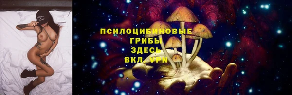 крисы Одинцово