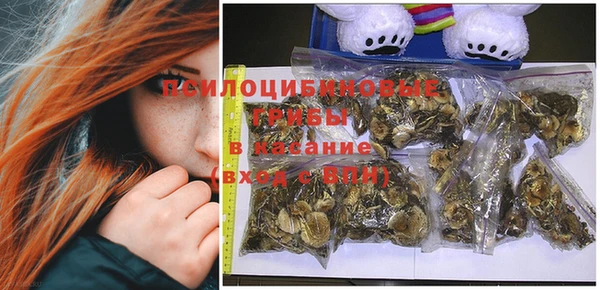 крисы Одинцово