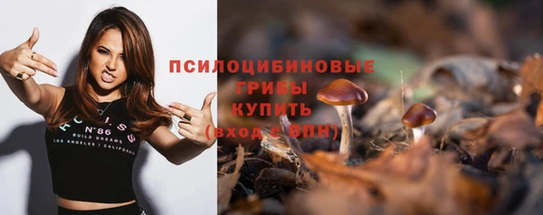 крисы Березники