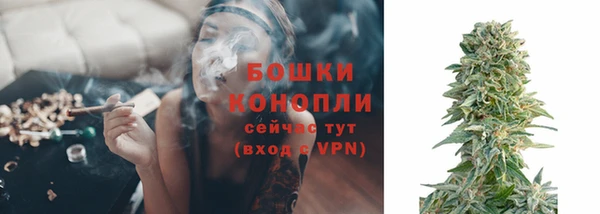 крисы Березники