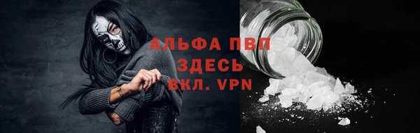 крисы Березники