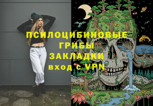 крисы Березники